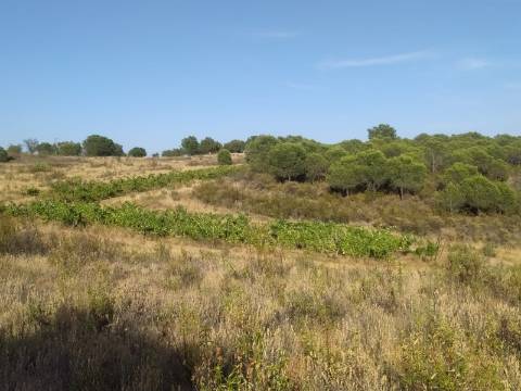 TERRENO RUSTICO COM 104440 m² E BARRAGEM