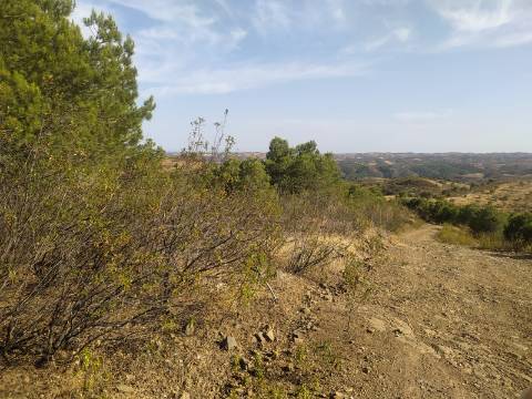 TERRENO RUSTICO COM 104440 m² E BARRAGEM