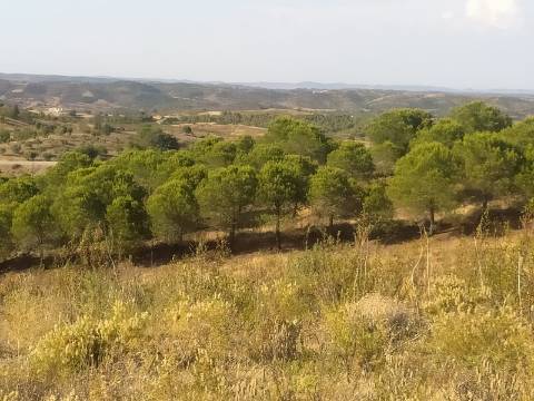 TERRENO RUSTICO COM 104440 m² E BARRAGEM