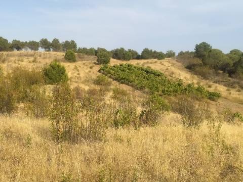 TERRENO RUSTICO COM 104440 m² E BARRAGEM