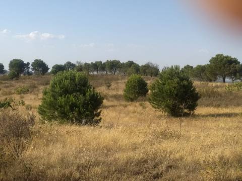 TERRENO RUSTICO COM 104440 m² E BARRAGEM