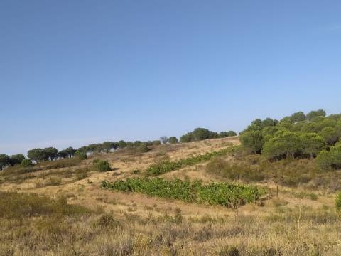 TERRENO RUSTICO COM 104440 m² E BARRAGEM