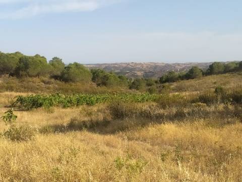 TERRENO RUSTICO COM 104440 m² E BARRAGEM