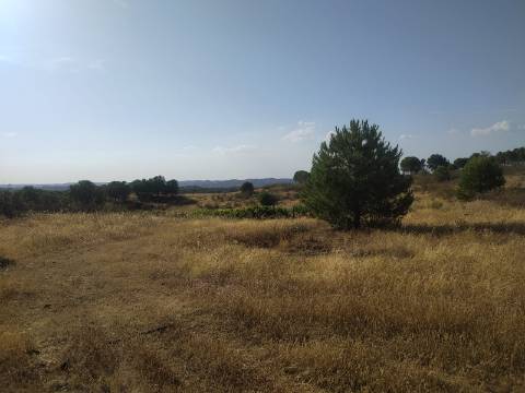TERRENO RUSTICO COM 104440 m² E BARRAGEM