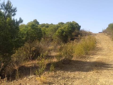 TERRENO RUSTICO COM 104440 m² E BARRAGEM