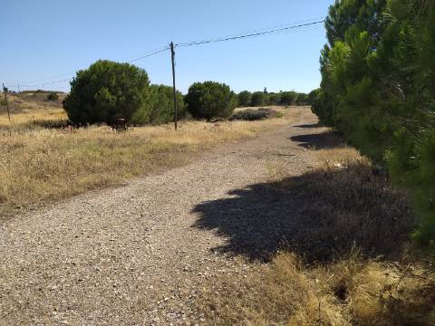 Terreno Rustico -Plano com 2960 m², situado numa zona tranquila com vários acesso, nas proximidades do Azinhal, Odeleite Castro Marim , Algarve.
