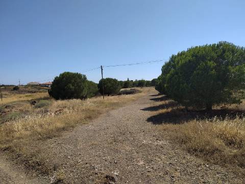 Terreno Rustico -Plano com 2960 m², situado numa zona tranquila com vários acesso, nas proximidades do Azinhal, Odeleite Castro Marim , Algarve.
