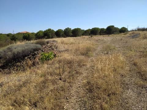 Terreno Rustico -Plano com 2960 m², situado numa zona tranquila com vários acesso, nas proximidades do Azinhal, Odeleite Castro Marim , Algarve.
