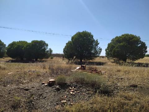 Terreno Rustico -Plano com 2960 m², situado numa zona tranquila com vários acesso, nas proximidades do Azinhal, Odeleite Castro Marim , Algarve.
