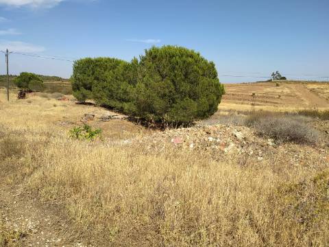 Terreno Rustico -Plano com 2960 m², situado numa zona tranquila com vários acesso, nas proximidades do Azinhal, Odeleite Castro Marim , Algarve.
