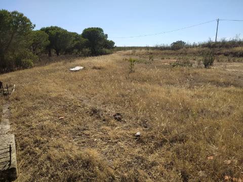 Terreno Rustico -Plano com 2960 m², situado numa zona tranquila com vários acesso, nas proximidades do Azinhal, Odeleite Castro Marim , Algarve.
