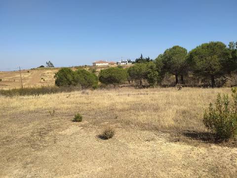 Terreno Rustico -Plano com 2960 m², situado numa zona tranquila com vários acesso, nas proximidades do Azinhal, Odeleite Castro Marim , Algarve.
