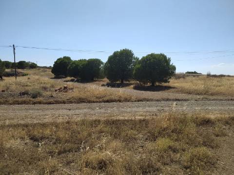 Terreno Rustico -Plano com 2960 m², situado numa zona tranquila com vários acesso, nas proximidades do Azinhal, Odeleite Castro Marim , Algarve.
