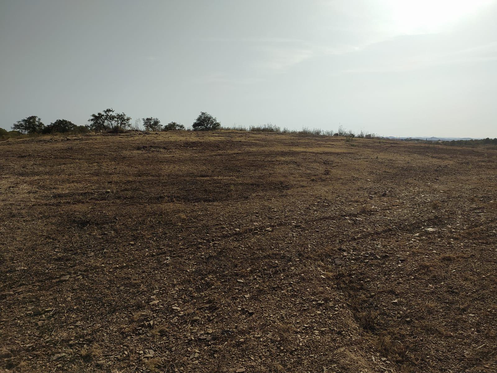 TERRENO RUSTICO COM 3680 m2