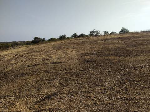 TERRENO RUSTICO COM 3680 m2