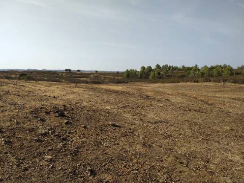 TERRENO RUSTICO COM 3680 m2
