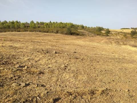 TERRENO RUSTICO COM 3680 m2