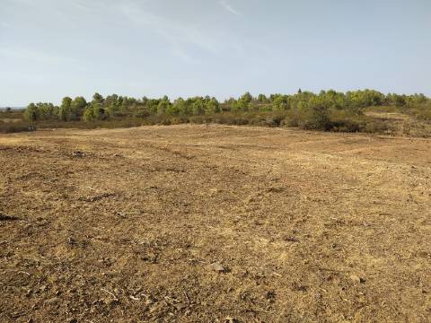TERRENO RUSTICO COM 3680 m2