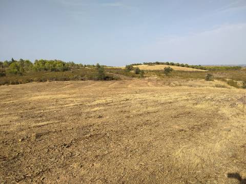 TERRENO RUSTICO COM 3680 m2