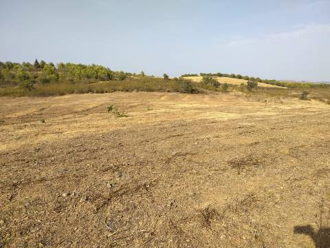 TERRENO RUSTICO COM 3680 m2