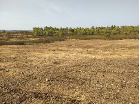 TERRENO RUSTICO COM 3680 m2
