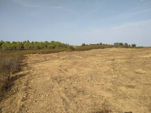TERRENO RUSTICO COM 3680 m2
