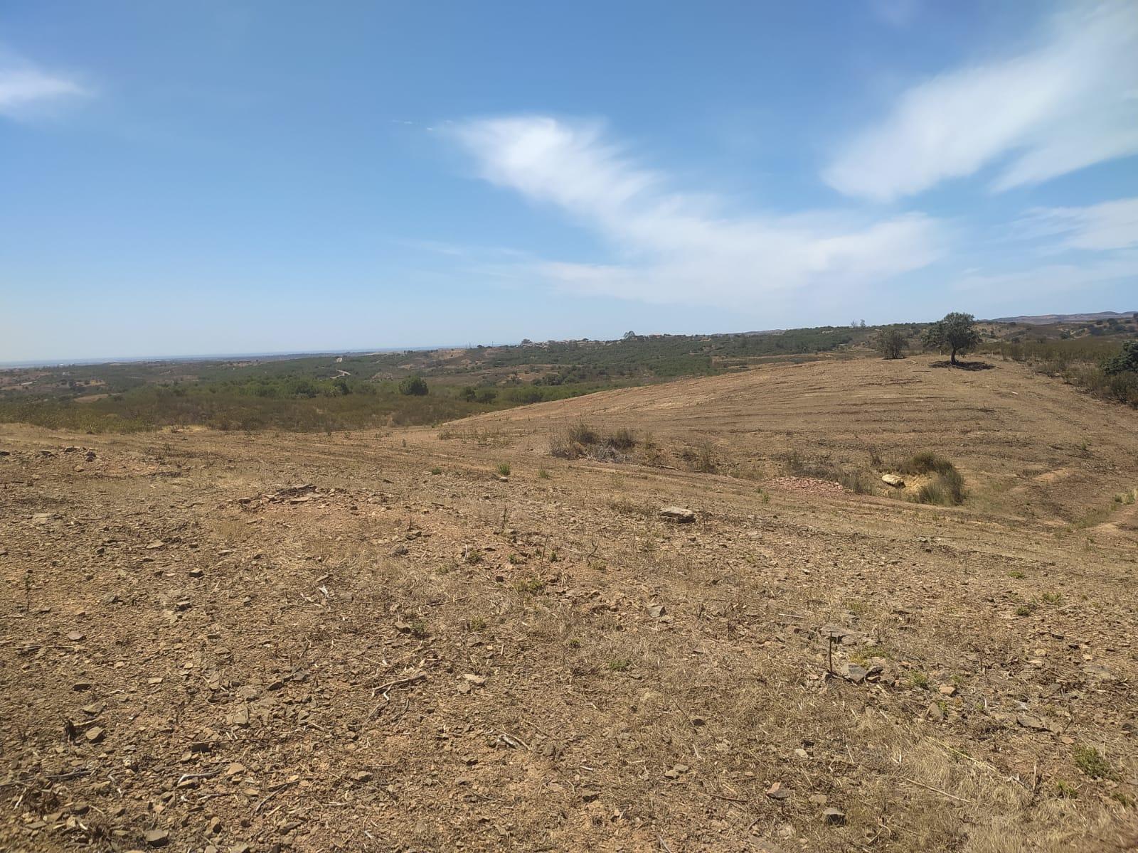 TERRENO RUSTICO COM 6560 m2