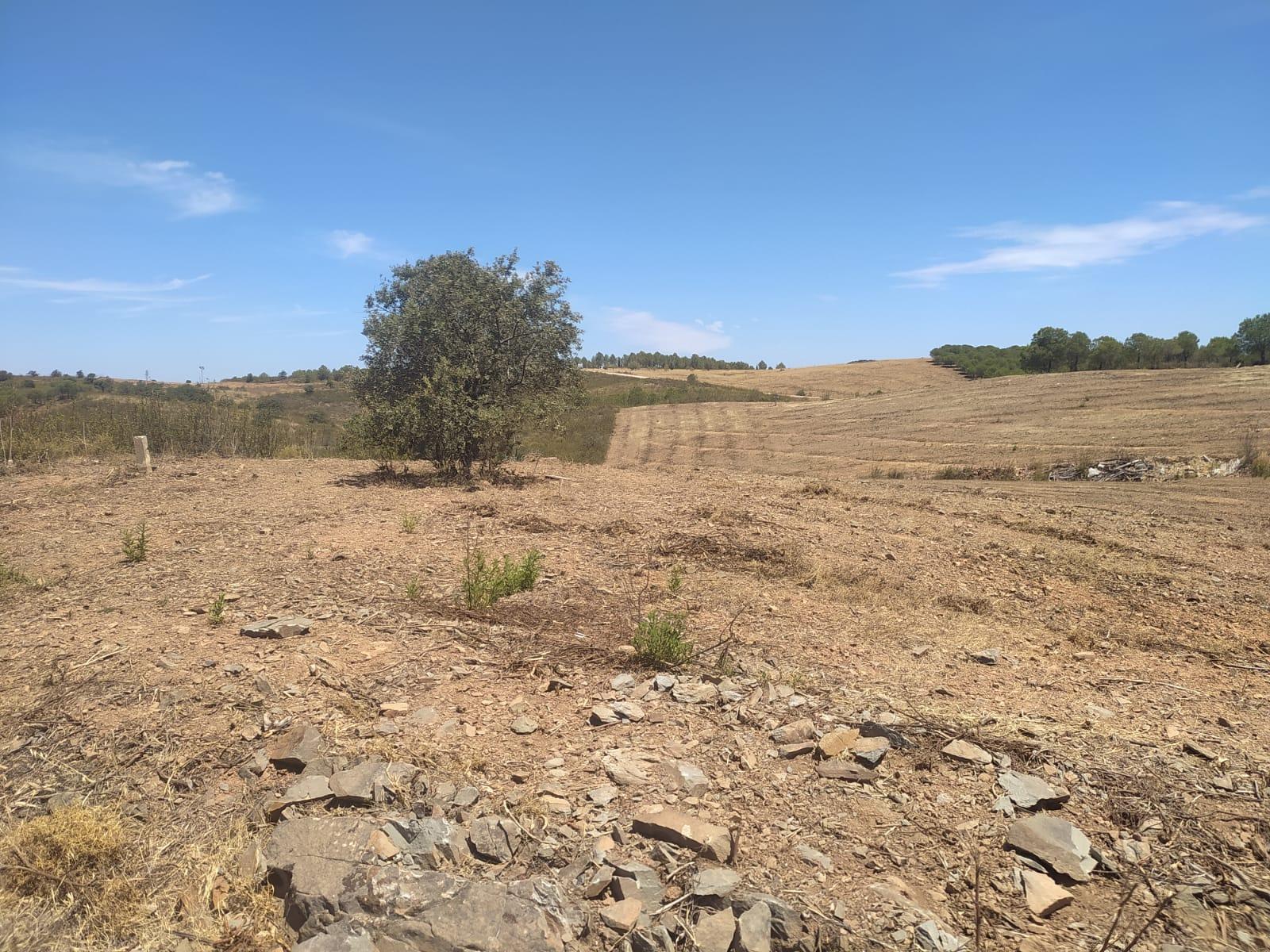 TERRENO RUSTICO COM 6560 m2