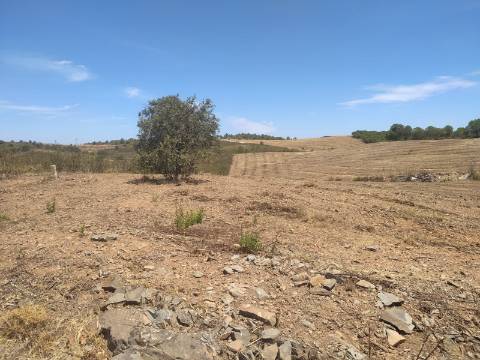TERRENO RUSTICO COM 6560 m2