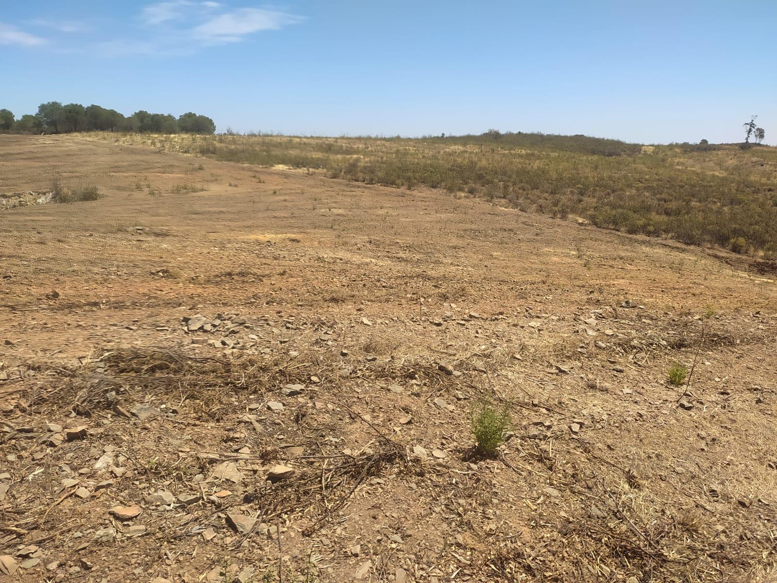 TERRENO RUSTICO COM 6560 m2