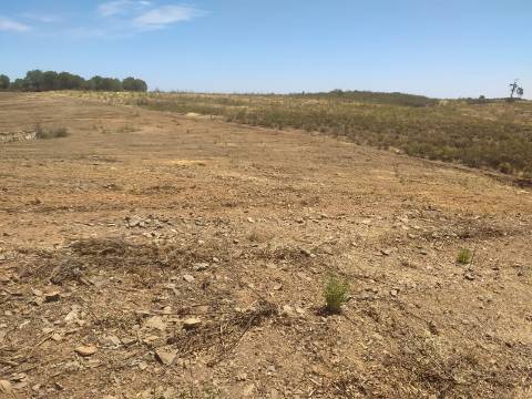 TERRENO RUSTICO COM 6560 m2