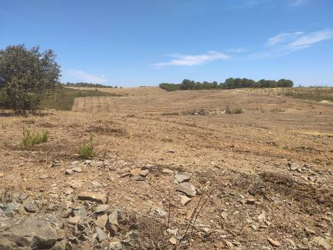 TERRENO RUSTICO COM 6560 m2