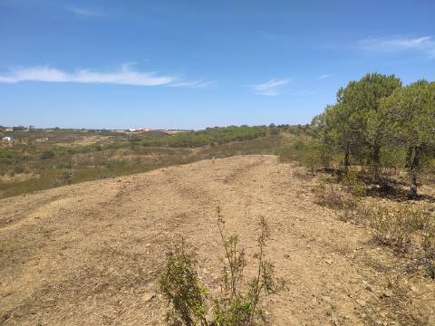 TERRENO RUSTICO COM 6560 m2