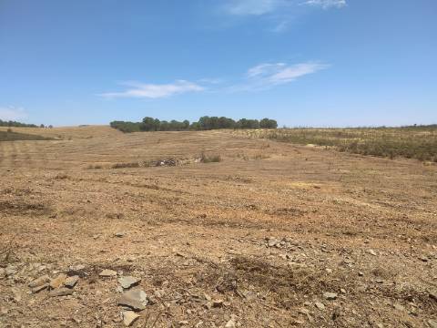 TERRENO RUSTICO COM 6560 m2