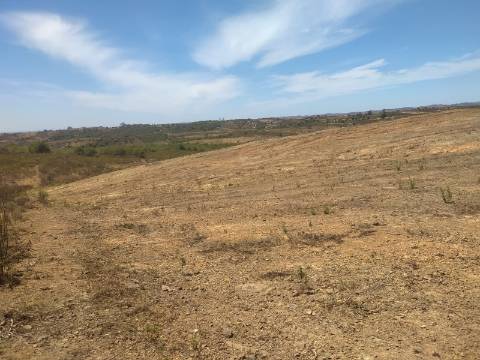 TERRENO RUSTICO COM 6560 m2