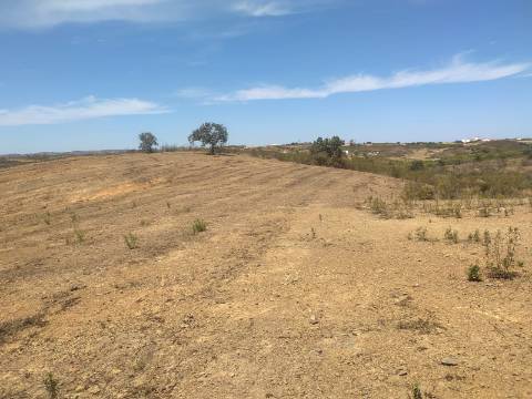 TERRENO RUSTICO COM 6560 m2