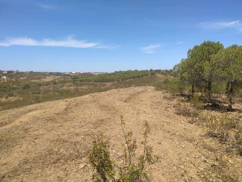 TERRENO RUSTICO COM 6560 m2