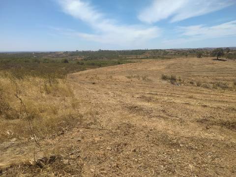 TERRENO RUSTICO COM 6560 m2