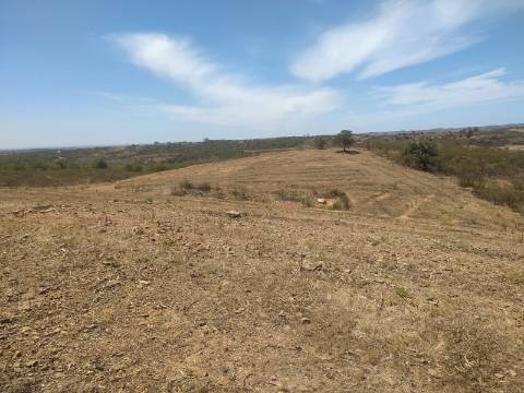 TERRENO RUSTICO COM 6560 m2