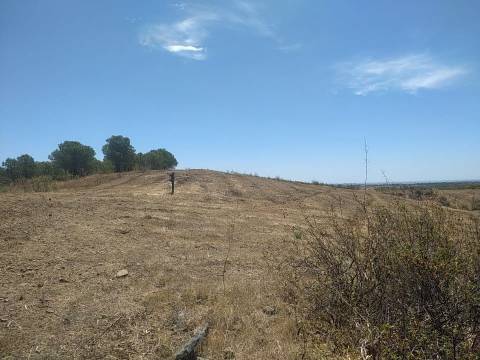 TERRENO RUSTICO COM 6560 m2
