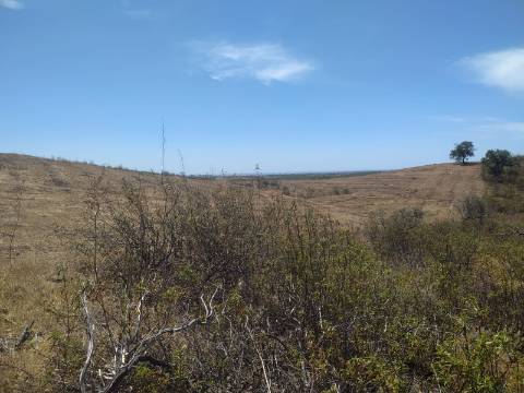 TERRENO RUSTICO COM 6560 m2