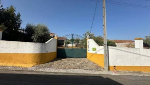 Excelente Terreno todo murado com área de 600 m2 

Distrito de Portalegre Concelho de Alter do Chão freguesia de Chancelaria Chança.
