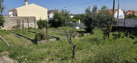 Excelente Terreno todo murado com área de 600 m2 

Distrito de Portalegre Concelho de Alter do Chão freguesia de Chancelaria Chança.
