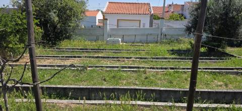 Excelente Terreno todo murado com área de 600 m2 

Distrito de Portalegre Concelho de Alter do Chão freguesia de Chancelaria Chança.
