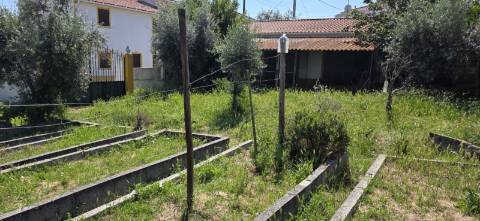 Excelente Terreno todo murado com área de 600 m2 

Distrito de Portalegre Concelho de Alter do Chão freguesia de Chancelaria Chança.
