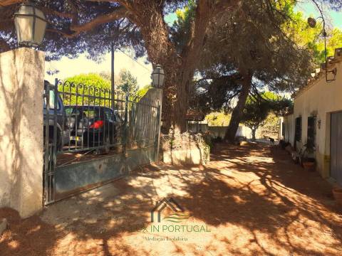 Quinta - Alcochete