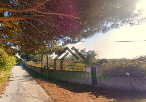 Quinta - Alcochete