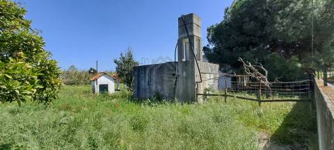 Quinta - Alcochete