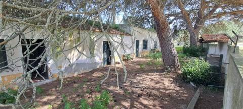 Quinta - Alcochete