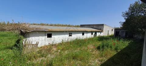 Quinta - Alcochete